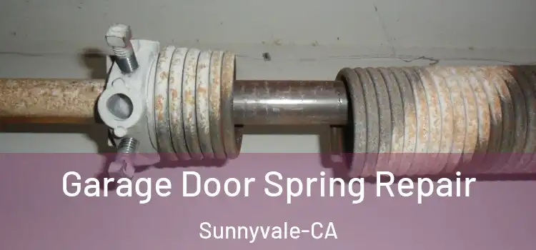 Garage Door Spring Repair Sunnyvale-CA